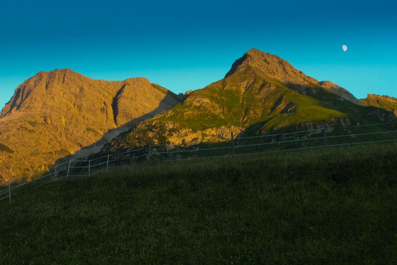 Alpenappartement Bergkoenig Warth  المظهر الخارجي الصورة