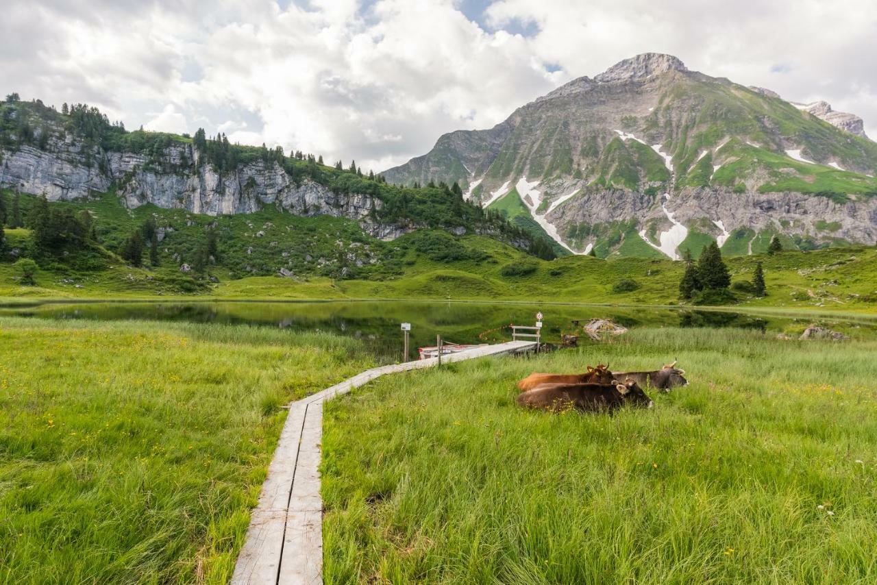 Alpenappartement Bergkoenig Warth  المظهر الخارجي الصورة